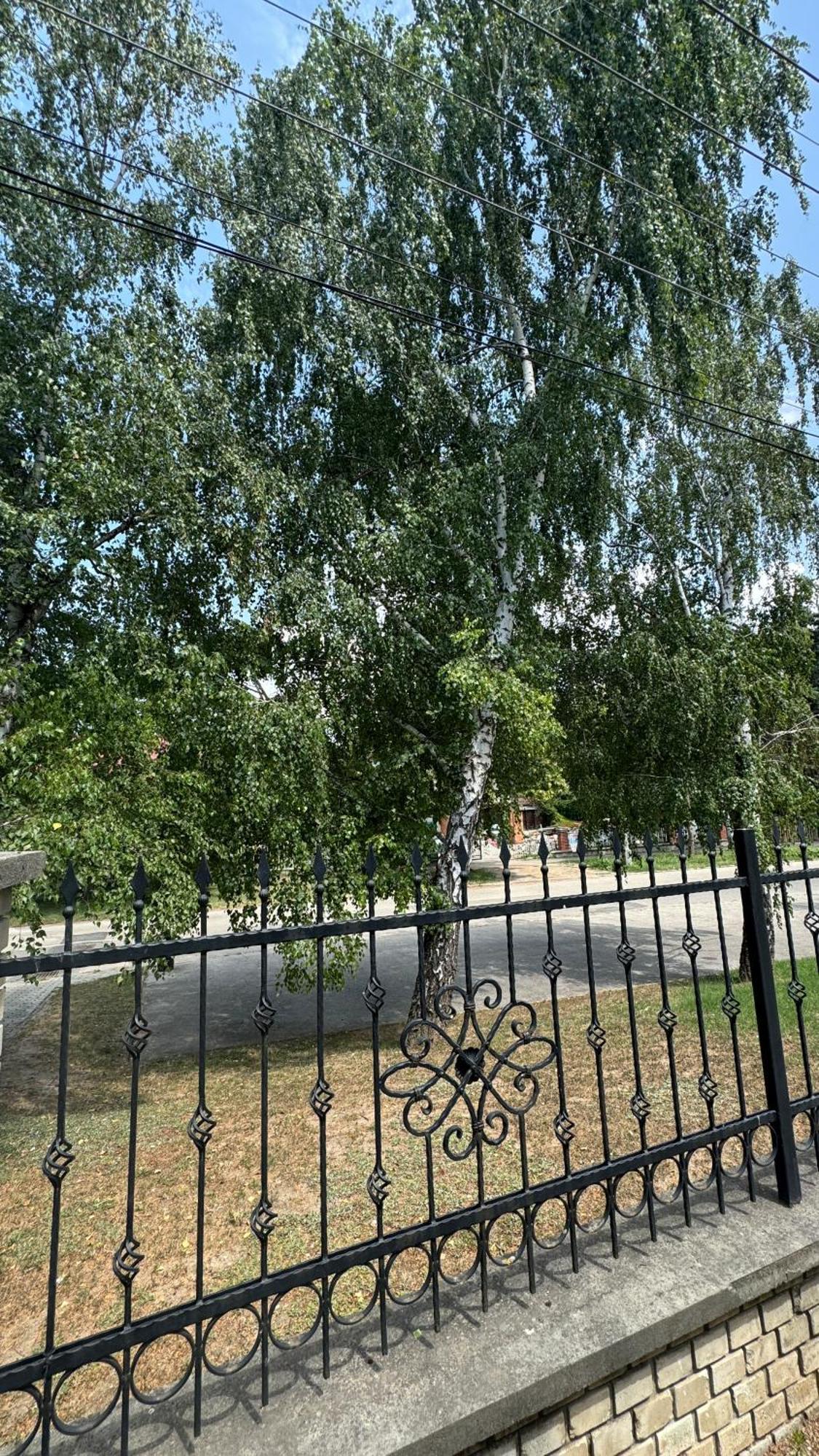 5 Haloszobas Wellness Vip House - Privat Medence Siófok Zewnętrze zdjęcie